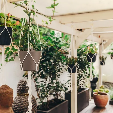 호텔 Boutique Berial 뒤셀도르프